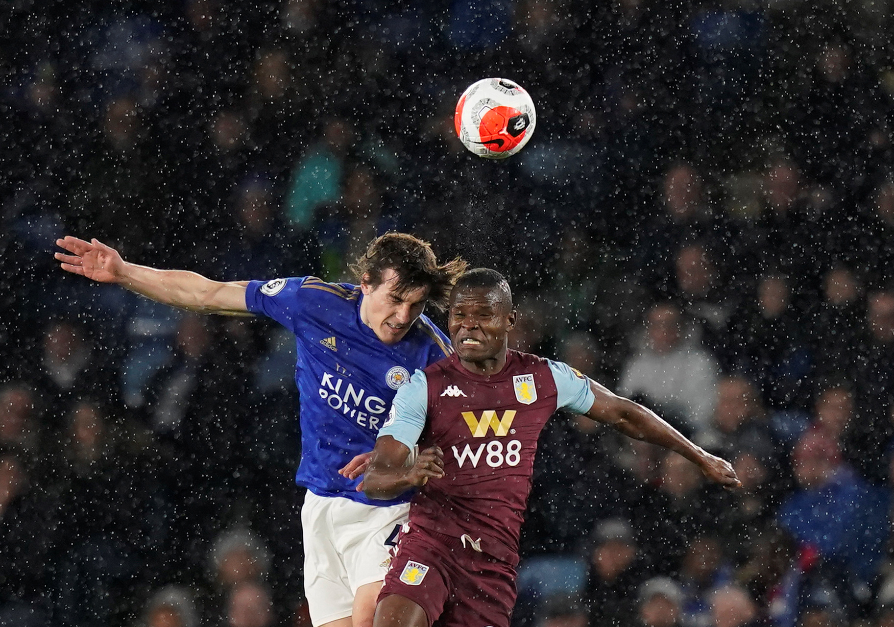 得了球迷的 得了球迷的